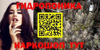 apvp Пушкино