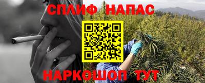 кокс Пугачёв